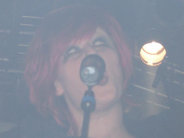 Lame Immotrelle vom 20.02.2008-021.jpg